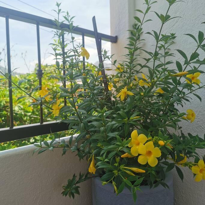 1 Bedroom Apt With Ac , Tv , Wi-Fi Near Dt And Beach Zihuatanejo Bagian luar foto